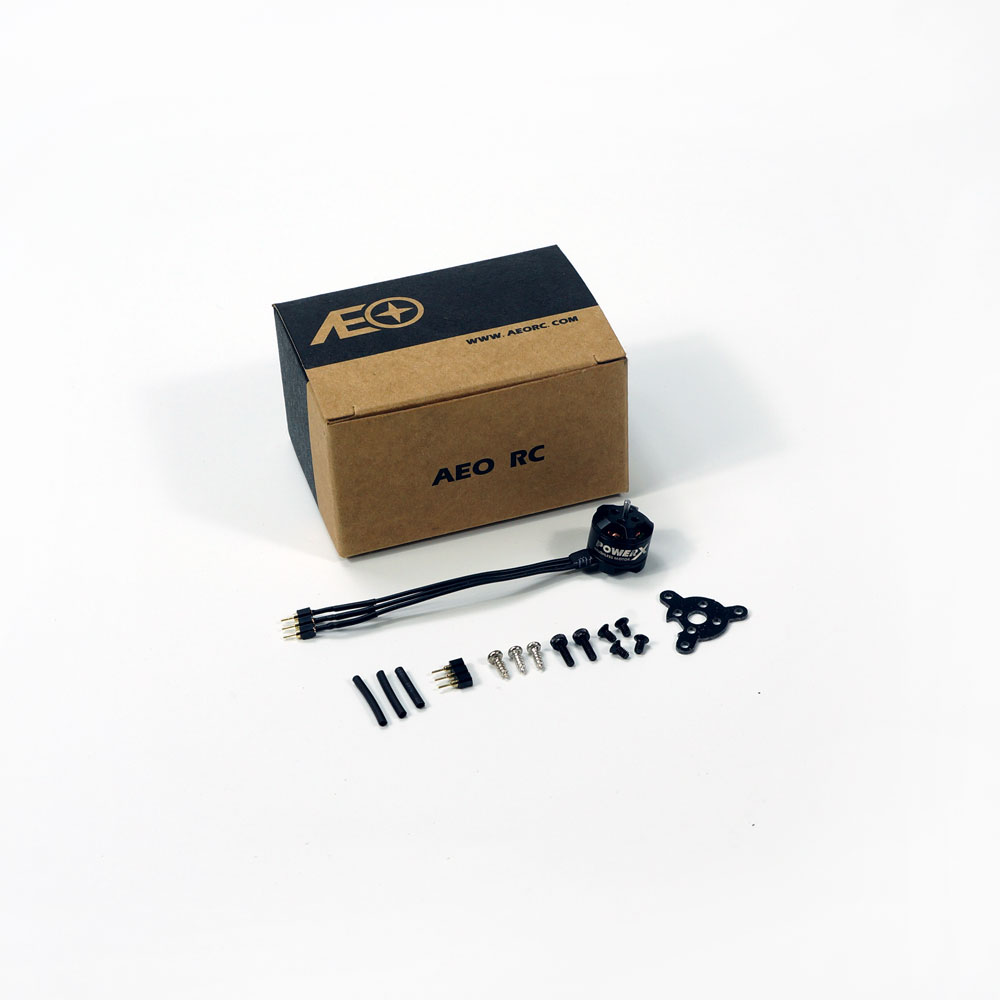 Mini Micro MC1106 3800KV Động  - đánh giá và giá Rc Plane Hobby Zone